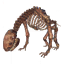 Asksvin Skeleton in Valheim
